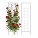 Merkloos / Sans marque Relaxdays klimrek, set van 2, HxB 193 x 58 cm, metaal, klimsteun voor klimplanten en rozen, tuin, zwart