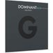 Thomastik-Infeld Dominant Pro Viola G String 4/4 Medium DP23