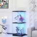 Vitrine d'exposition rotative 360° 82cm avec éclairage LED RGB et télécommande - Étagère en verre moderne pour figurines - Noir