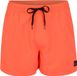 Quiksilver Everyday Heren Zwemshort Eqyjv03531-mkz0 Roze XL