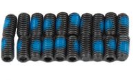 Sram, Time Grip Bolts/pins Speciale - UNI Meerkleurig Unisex Stadsfiets