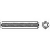 TOOLCRAFT TO-5379444 Spanstiften RVS 100 stuk(s)