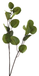 Nova Nature Eucalyptus leaf spray dk green 80cm