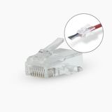 Nedis RJ45-Connector - RJ45 Pass Through - Stevig/Gesnoerd UTP CAT6 - Recht - Verguld - 10 Stuks - Polycarbonate - Transparant - Doos