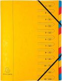 Exacompta - Ref. 54129E - Doos met 8 ordners met klemrug