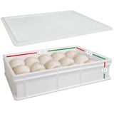 LUNEDA Houder met deksel, 60 x 40 x 10 cm, voor professioneel gistdeeg, gemaakt in Italië, stapelbaar, voor brood, pizza, panetti, restaurant, pizzeria, oven