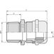 Lappkabel Glandula 1 brass Natuur 53112044 25 st