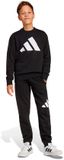 Adidas Essentials Joggers Set Zwart 15-16 Years Kinderen