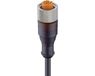 Lumberg Automation 11374-1 Connecteur capteur/actionneur, assemblé M12 Nombre de pôles (capteurs) : 5 Douille, droit 5,00 m