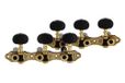 GEWA Mechaniek voor Klassieke Gitaar - Nylonas Ø 9,5 mm Zwart - Asafstand 35 mm - Acrylnoppen Geschroefd - Set Goudkleurig - Zonder Lyra