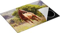 Chefcare Inductie Beschermer Bruin Paard in de Wei - 75x55 cm