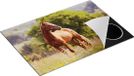 Chefcare Inductie Beschermer Bruin Paard in de Wei - 75x55 cm