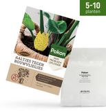 Pokon Aaltjes tegen Rouwvliegjes - 10 miljoen Aaltjes voor 5 tot 10 kamerplanten - Natuurlijke rouwvliegenbestrijding
