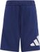 Adidas Essentials Big Logo Shorts Uniseks Kinderen