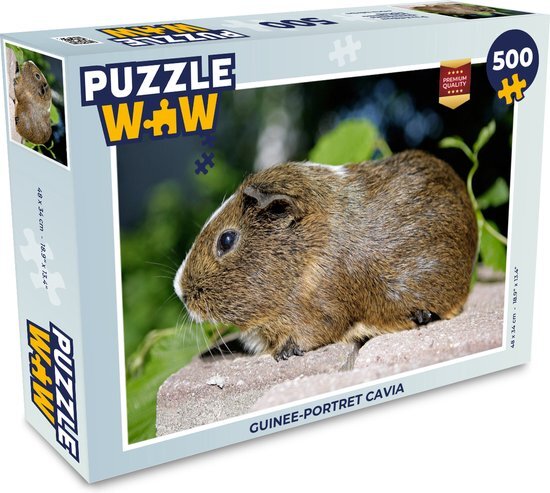 MuchoWow Puzzel Guinee-portret cavia - Legpuzzel - Puzzel 500 stukjes