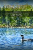 The Canoe Tripper's Companion: Week Away - Destination Profiles - Sudoku Puzzles - Trip Journal