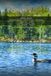 The Canoe Tripper's Companion: Week Away - Destination Profiles - Sudoku Puzzles - Trip Journal