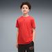 PUMA Functioneel shirt grijs / neonrood