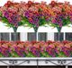 Unyqoos Fleurs artificielles colorées résistantes aux intempéries pour intérieur et extérieur - Lot de 10 bouquets