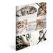 HERMA mappen A4 kattenset, 3-delig, kinderhoekmappen van karton met dierenmotief, elastische band, binnenkleppen en binnenprint voor jongens en meisjes