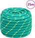 vidaXL Corde de bateau 20 mm 25 m polypropylène vert