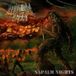 Bertus Distributie Agonia Napalm Nights