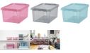 smartstore COLOUR 31L Boîte de rangement, 31 Liters, Bleu Turquoise