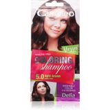 Cameleo Shampooing Color Bronze Clair Rafraîchissement Rapide et Facile 'Ton sur Ton' Sans Ammoniac et Fluide 40ml 5.0 Bronze Clair