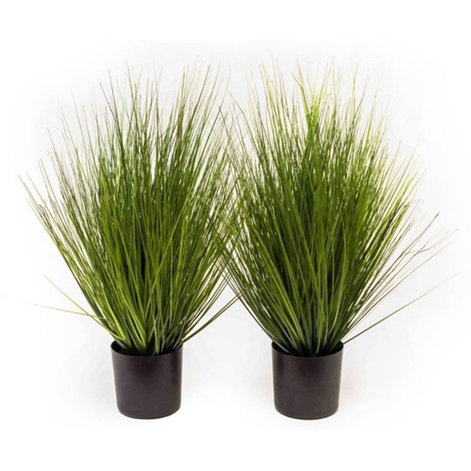 Gifts Amsterdam Kunstgras in Pot King Festuca 60 cm Groen