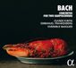 Concertos Alpha Classics Ensemble Masques, Olivier Fortin, Emmanuel Frankenberg - Bach: Concertos For Two Harpsichords (CD)