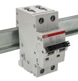 ABB S202-D16 Miniatuur Stroomonderbreker, 2-polig, Type D, 6/10kA Breaking Capaciteit, 16 Amp Stroom (2CDS252001R0161)