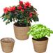 Merkloos Relaxdays plantenmand - set van 3 - gevlochten - met folie - 3 maten - natuur