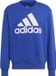 ADIDAS SPORTSWEAR Bl Ft Sweatshirt Heren - Semi Lucid Blue - L