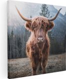 Artaza Canvas Schilderij Schotse Hooglander Koe 40x40 cm - Canvas Print