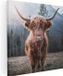 Artaza Canvas Schilderij Schotse Hooglander Koe 40x40 cm - Canvas Print