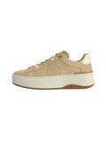 MICHAEL Michael Kors Michael Kors Dottie Suede Platform Sneakers Beige (41)