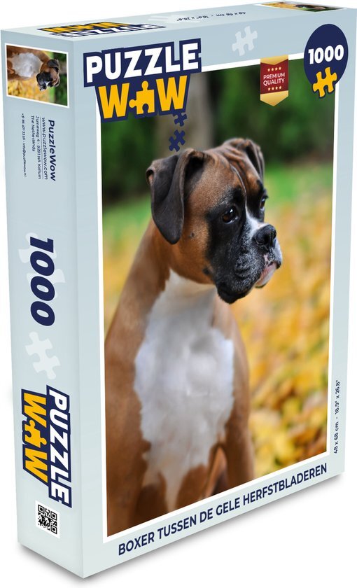 MuchoWow Puzzel Boxer tussen de gele herfstbladeren - Legpuzzel - Puzzel 1000 stukjes volwassenen