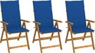 Acacia Bois Massif Chaises Pliantes 3 Pièces avec Coussins