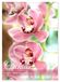 Orchids Calvendo Orchids - Infinite Variety (Wall Calendar 2027 DIN A3 portrait)