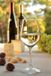 Verre à vin en acier inoxydable, ensemble de verres à vin de luxe, 6 pièces, cristal Tritan