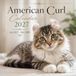 American Curl Calendar 2027: 15-Month Featuring Beautiful Cat Photography | January 27 - March 2028