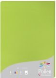 Clairefontaine Pollen papier voor inkjetprinter A4 (210x297 mm) 25 vel Groen