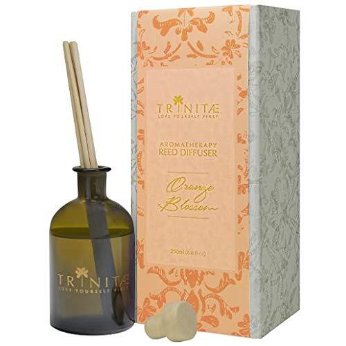 Trinitae Room Diffuser Kit - Orange Blossom