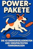 Power-Pakete: Die 43 energiegeladensten und verspieltesten Terrierrassen