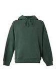 Carhartt WIP Sweatshirt 'Vista' vert foncé