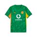 PUMA Borussia Dortmund 25/26 Heren Keepersshirt Korte Mouwen Groen/Oranje Maat 3XL