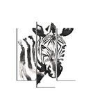 Homemania Wandafbeelding, zebra, 3-delig, dieren, woonkamer, slaapkamer, meerkleurig, 57 x 0,3 x 60 cm, HM203MDF181, MDF