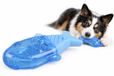 Flamingo Jouet pour chien - Snowy Poisson Bleu - Rafraîchissant - Caoutchouc - 18 cm