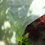 Tenax Sun Film 2,00 x 10 m geel film beschermfolie waterdicht van kunststof voor tunnels en sloten, bescherming van de culturen