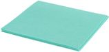 Cleaninq Quantore BV Werkdoek cleaninq viscose 38x40cm groen 10 stuks